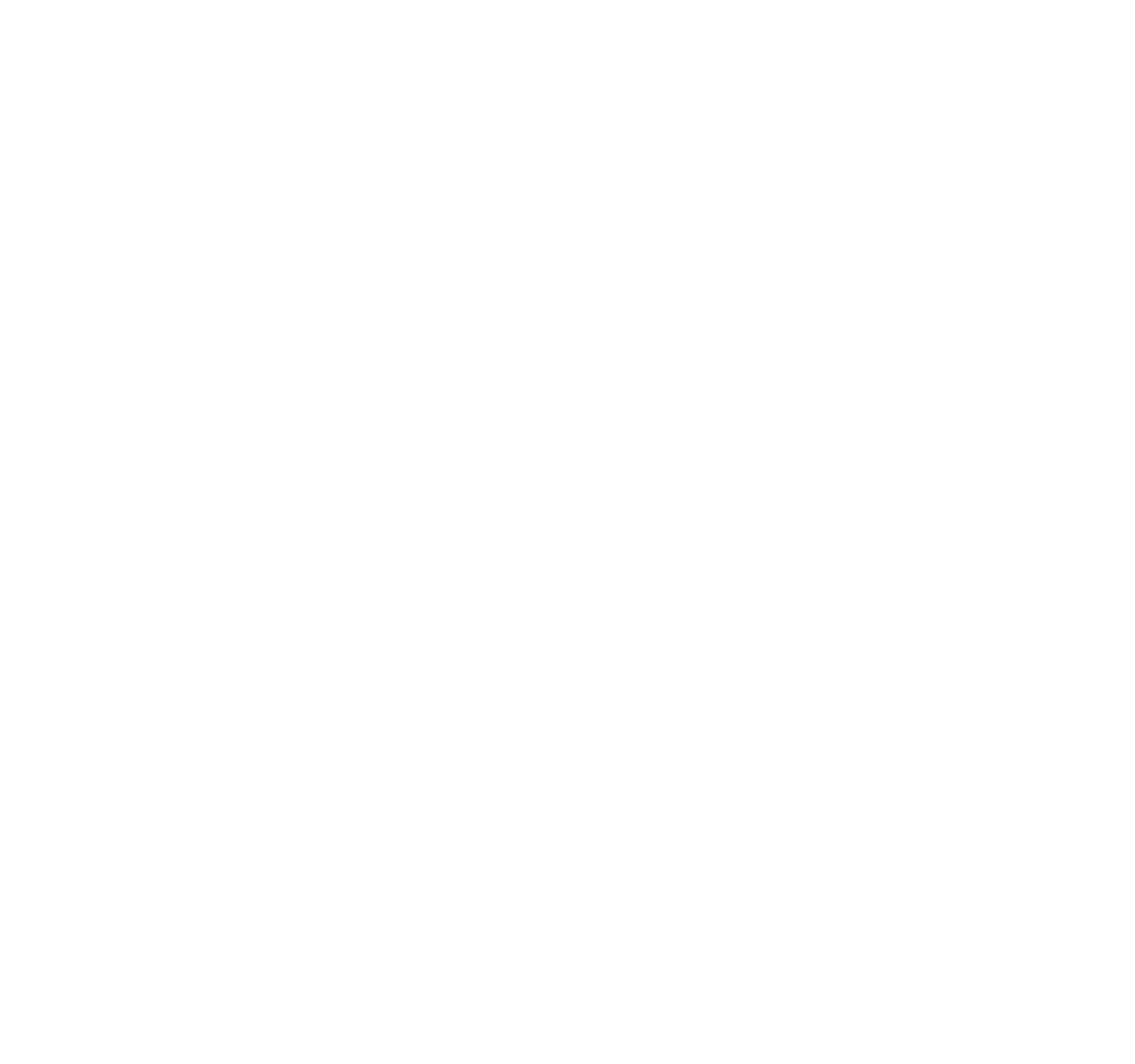 Speaker Icon